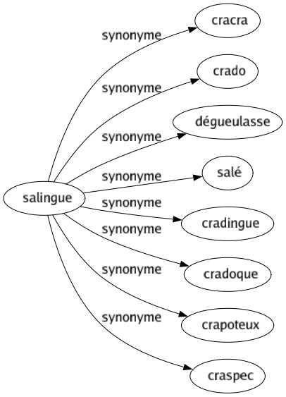 Synonyme de Salingue : Cracra Crado Dégueulasse Salé Cradingue Cradoque Crapoteux Craspec 