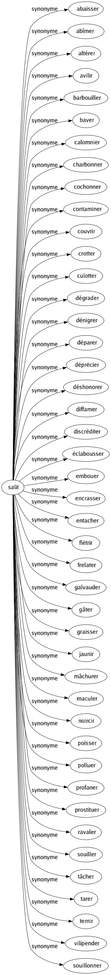 Synonyme de Salit : Abaisser Abîmer Altérer Avilir Barbouiller Baver Calomnier Charbonner Cochonner Contaminer Couvrir Crotter Culotter Dégrader Dénigrer Déparer Déprécier Déshonorer Diffamer Discréditer Éclabousser Embouer Encrasser Entacher Flétrir Frelater Galvauder Gâter Graisser Jaunir Mâchurer Maculer Noircir Poisser Polluer Profaner Prostituer Ravaler Souiller Tâcher Tarer Ternir Vilipender Souillonner 