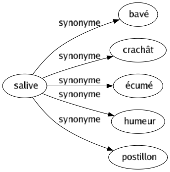 Synonyme de Salive : Bavé Crachât Écumé Humeur Postillon 