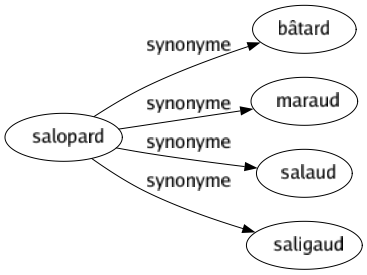 Synonyme de Salopard : Bâtard Maraud Salaud Saligaud 