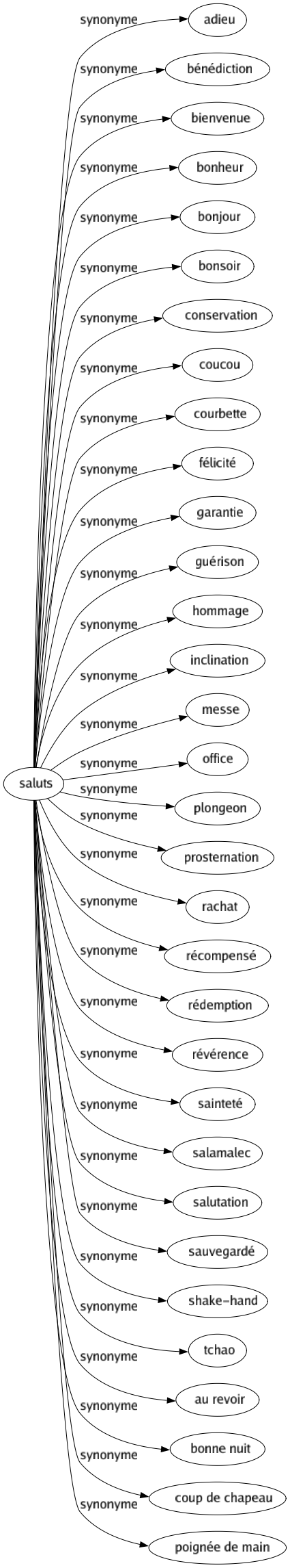 Synonyme de Saluts : Adieu Bénédiction Bienvenue Bonheur Bonjour Bonsoir Conservation Coucou Courbette Félicité Garantie Guérison Hommage Inclination Messe Office Plongeon Prosternation Rachat Récompensé Rédemption Révérence Sainteté Salamalec Salutation Sauvegardé Shake-hand Tchao Au revoir Bonne nuit Coup de chapeau Poignée de main 