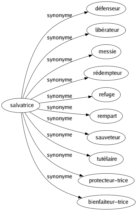 Synonyme de Salvatrice : Défenseur Libérateur Messie Rédempteur Refuge Rempart Sauveteur Tutélaire Protecteur-trice Bienfaiteur-trice 