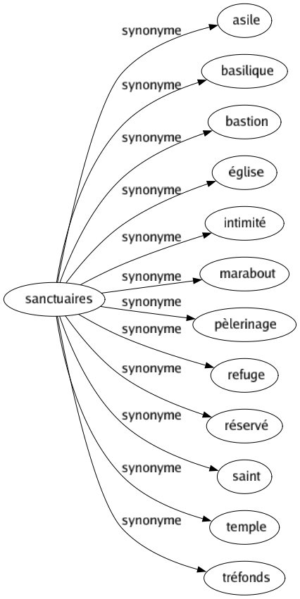 Synonyme de Sanctuaires : Asile Basilique Bastion Église Intimité Marabout Pèlerinage Refuge Réservé Saint Temple Tréfonds 