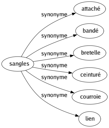 Synonyme de Sangles : Attaché Bandé Bretelle Ceinturé Courroie Lien 