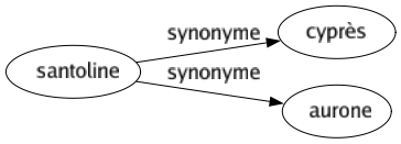 Synonyme de Santoline : Cyprès Aurone 