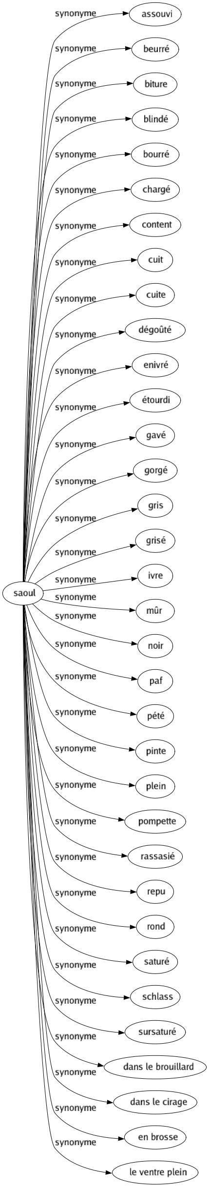 Synonyme de Saoul : Assouvi Beurré Biture Blindé Bourré Chargé Content Cuit Cuite Dégoûté Enivré Étourdi Gavé Gorgé Gris Grisé Ivre Mûr Noir Paf Pété Pinte Plein Pompette Rassasié Repu Rond Saturé Schlass Sursaturé Dans le brouillard Dans le cirage En brosse Le ventre plein 