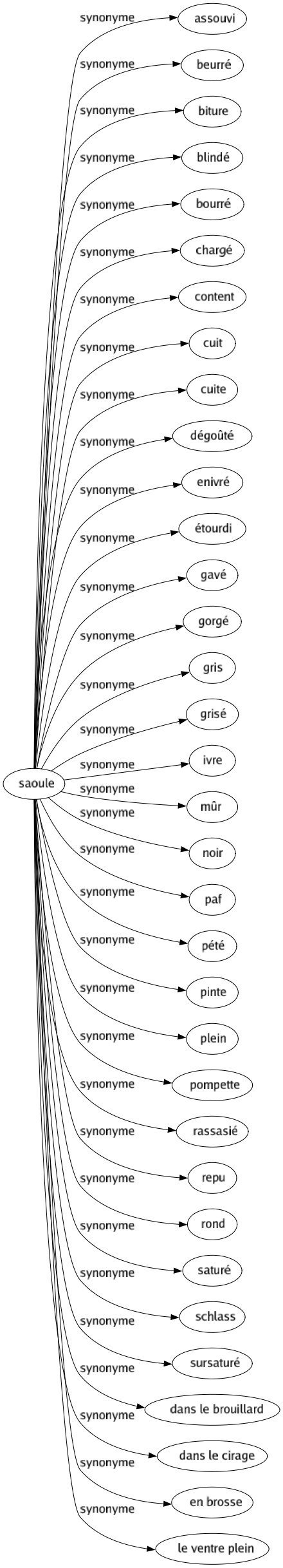 Synonyme de Saoule : Assouvi Beurré Biture Blindé Bourré Chargé Content Cuit Cuite Dégoûté Enivré Étourdi Gavé Gorgé Gris Grisé Ivre Mûr Noir Paf Pété Pinte Plein Pompette Rassasié Repu Rond Saturé Schlass Sursaturé Dans le brouillard Dans le cirage En brosse Le ventre plein 