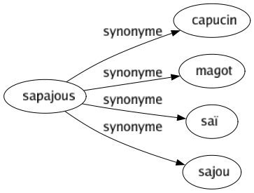 Synonyme de Sapajous : Capucin Magot Saï Sajou 