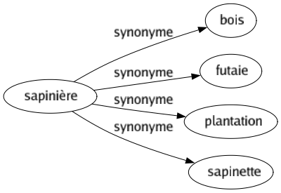 Synonyme de Sapinière : Bois Futaie Plantation Sapinette 