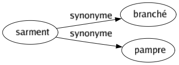 Synonyme de Sarment : Branché Pampre 