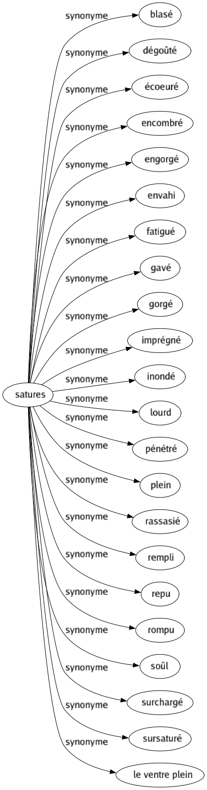 Synonyme de Satures : Blasé Dégoûté Écoeuré Encombré Engorgé Envahi Fatigué Gavé Gorgé Imprégné Inondé Lourd Pénétré Plein Rassasié Rempli Repu Rompu Soûl Surchargé Sursaturé Le ventre plein 