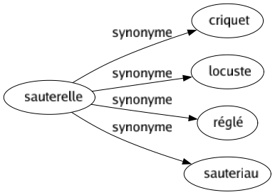 Synonyme de Sauterelle : Criquet Locuste Réglé Sauteriau 