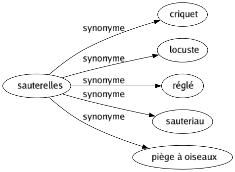 Synonyme de Sauterelles : Criquet Locuste Réglé Sauteriau Piège à oiseaux 