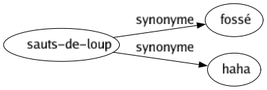 Synonyme de Sauts-de-loup : Fossé Haha 