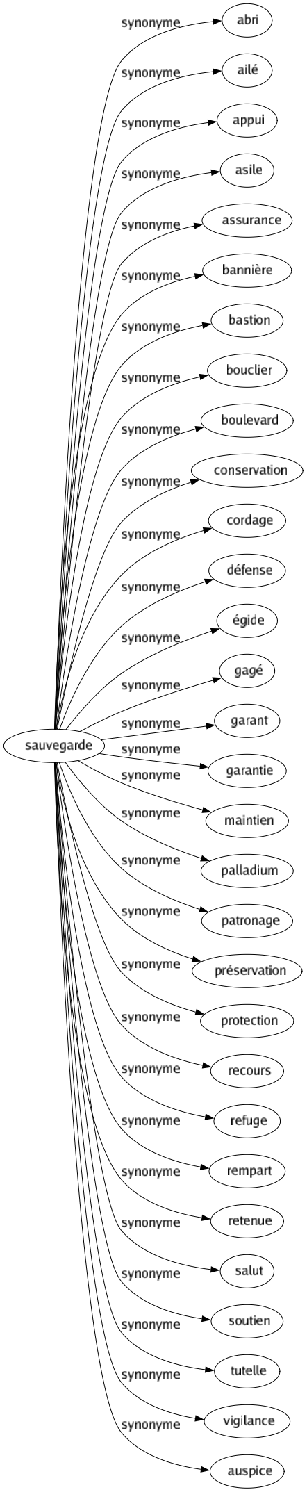 Synonyme de Sauvegarde : Abri Ailé Appui Asile Assurance Bannière Bastion Bouclier Boulevard Conservation Cordage Défense Égide Gagé Garant Garantie Maintien Palladium Patronage Préservation Protection Recours Refuge Rempart Retenue Salut Soutien Tutelle Vigilance Auspice 