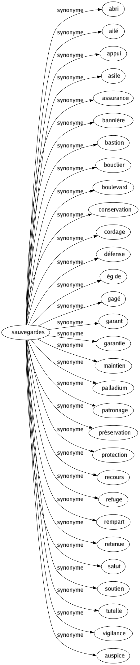 Synonyme de Sauvegardes : Abri Ailé Appui Asile Assurance Bannière Bastion Bouclier Boulevard Conservation Cordage Défense Égide Gagé Garant Garantie Maintien Palladium Patronage Préservation Protection Recours Refuge Rempart Retenue Salut Soutien Tutelle Vigilance Auspice 