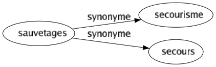 Synonyme de Sauvetages : Secourisme Secours 