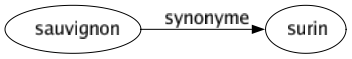 Synonyme de Sauvignon : Surin 