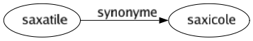 Synonyme de Saxatile : Saxicole 