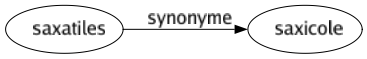 Synonyme de Saxatiles : Saxicole 