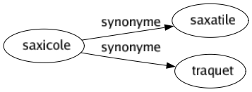 Synonyme de Saxicole : Saxatile Traquet 