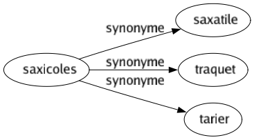 Synonyme de Saxicoles : Saxatile Traquet Tarier 