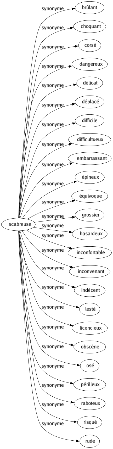 Synonyme de Scabreuse : Brûlant Choquant Corsé Dangereux Délicat Déplacé Difficile Difficultueux Embarrassant Épineux Équivoque Grossier Hasardeux Inconfortable Inconvenant Indécent Lesté Licencieux Obscène Osé Périlleux Raboteux Risqué Rude 