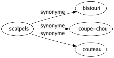 Synonyme de Scalpels : Bistouri Coupe-chou Couteau 