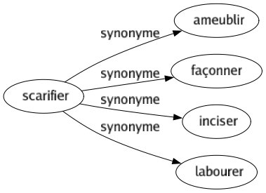 Synonyme de Scarifier : Ameublir Façonner Inciser Labourer 