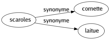 Synonyme de Scaroles : Cornette Laitue 