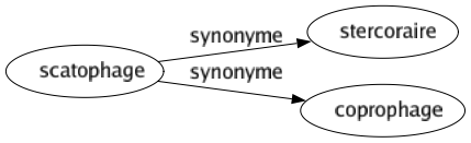 Synonyme de Scatophage : Stercoraire Coprophage 