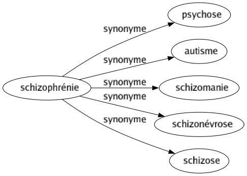 Synonyme de Schizophrénie : Psychose Autisme Schizomanie Schizonévrose Schizose 