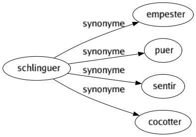 Synonyme de Schlinguer : Empester Puer Sentir Cocotter 