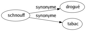 Synonyme de Schnouff : Drogué Tabac 