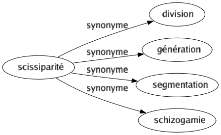 Synonyme de Scissiparité : Division Génération Segmentation Schizogamie 