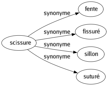 Synonyme de Scissure : Fente Fissuré Sillon Suturé 