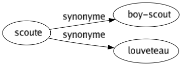 Synonyme de Scoute : Boy-scout Louveteau 