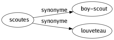 Synonyme de Scoutes : Boy-scout Louveteau 