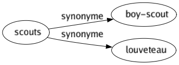 Synonyme de Scouts : Boy-scout Louveteau 