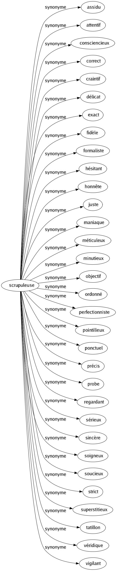 Synonyme de Scrupuleuse : Assidu Attentif Consciencieux Correct Craintif Délicat Exact Fidèle Formaliste Hésitant Honnête Juste Maniaque Méticuleux Minutieux Objectif Ordonné Perfectionniste Pointilleux Ponctuel Précis Probe Regardant Sérieux Sincère Soigneux Soucieux Strict Superstitieux Tatillon Véridique Vigilant 