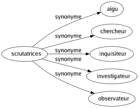 Synonyme de Scrutatrices : Aigu Chercheur Inquisiteur Investigateur Observateur 