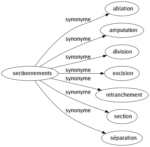 Synonyme de Sectionnements : Ablation Amputation Division Excision Retranchement Section Séparation 