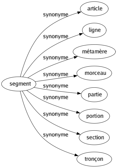 Synonyme de Segment : Article Ligne Métamère Morceau Partie Portion Section Tronçon 