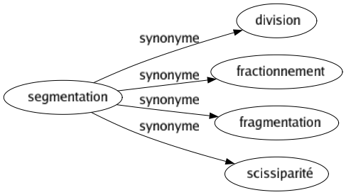 Synonyme de Segmentation : Division Fractionnement Fragmentation Scissiparité 