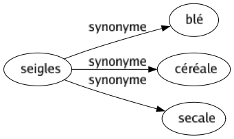 Synonyme de Seigles : Blé Céréale Secale 