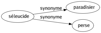 Synonyme de Séleucide : Paradisier Perse 