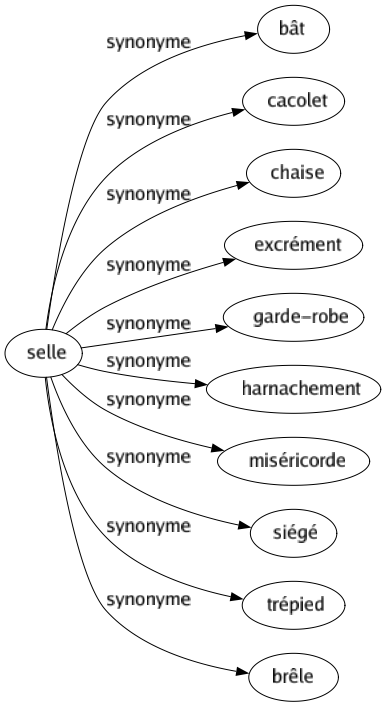 Synonyme de Selle : Bât Cacolet Chaise Excrément Garde-robe Harnachement Miséricorde Siégé Trépied Brêle 