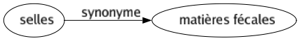 Synonyme de Selles : Matières fécales 