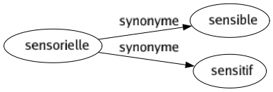 Synonyme de Sensorielle : Sensible Sensitif 