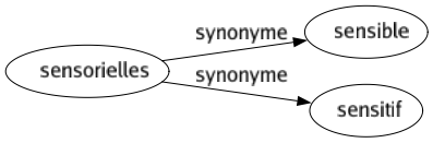 Synonyme de Sensorielles : Sensible Sensitif 